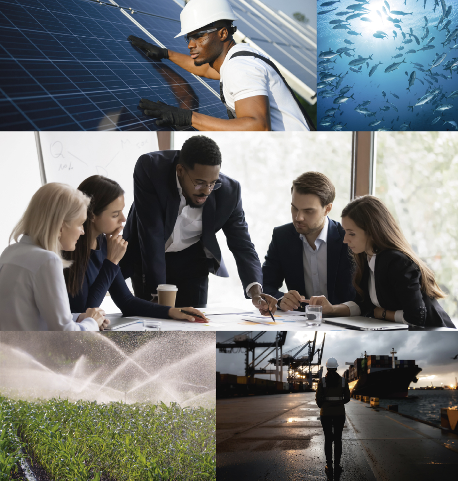 Colagem de projetos de campo e consultoria: energia solar, pescas, equipa em reunião, regadio e porto